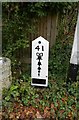 Old Milestone by the B2026, Straight Half Mile, Maresfield