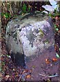 Old Milestone by Tullibardine, Auchterarder parish