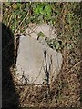 Old Milestone by the A485, Dolgwm, Pencarreg parish