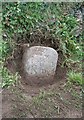 Old Milestone by the B3196, Marridge Cross, Ugborough