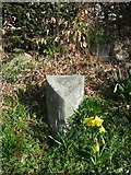 NX9666 : Old Milestone at New Abbey, just off the A710 by Milestone Society