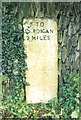 Old Milestone by the A487, below Banc-y-Warren, Cardigan parish