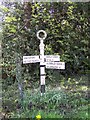 Direction Sign - Signpost by Hall Lane, Knolls Green, Mobberley parish