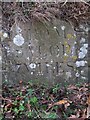 SJ5604 : Old Milestone near Harnage House, Cound parish by A Reade/J Higgins