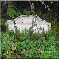 Old Milestone by the A38, southwest of Martin Hussingtree