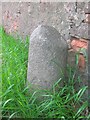 Old Milestone by the former B817, west of Milton