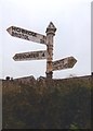 Direction Sign - Signpost on Gaunts Road, Pawlett