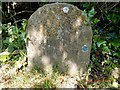 Modern Milestone by Dean Hill car park, west of Studland