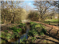 Stream through Waterlea Meadow