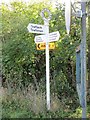 SJ2523 : Direction Sign - Signpost by the A495, Porth-y-waen by Milestone Society