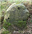 ST9061 : Old Milestone by Outmarsh, Melksham Without parish by M Faherty