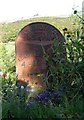 Old Milepost by the B4391, Gegin Fedw, Llanfyllin parish