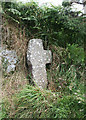 Old Wayside Cross near Headlands Farm, Peter Tavy parish