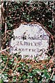 Old Milestone by the A458, Banwy Valley, Llanerfyl parish