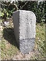 Old Milestone by the A712, New Galloway