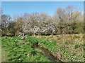 Stream through Waterlea Meadow