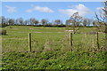 Valley side south of Wexcombe