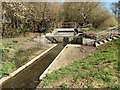 Balancing pond outlet, Waterlea Meadow