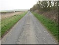 TA0364 : York  Road  toward  Kilham by Martin Dawes