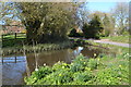 Pond at Westcourt