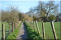 Path between fields at Burbage