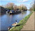 Grand Union Canal at Southall