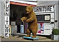 Bear on Wheels