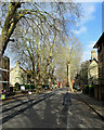 Sunlight and shadows, Harvey Road