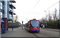 Sheffield Supertram on Infirmary Road