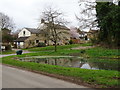 Todenham Village Pond