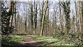 Footpath into Pleasley Park