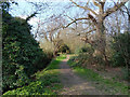 Path by Broadfield Brook, Crawley