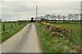 Shanog Road, Coolcreaghy