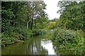 Caldon Canal approaching Cheddleton in Staffordshire