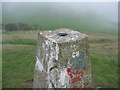 View off Hastings Hill