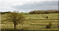 Field to the east of Ludworth