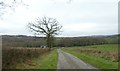 Wide verges, good ditches and valley of River Torridge