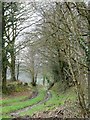 Track to Buckland Mill