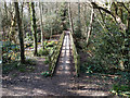 Bridge over swampy stream, Broadfield Park