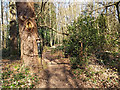 Path through old gateway, Broadfield Park