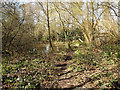 Path across top end of lake, Broadfield Park