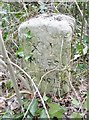 Old Milestone by the A35, Lyndhurst Road, Ashurst