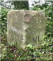 Old Milestone by the A30, west of Ansty