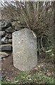 Old Milestone by the A386, Blackdown, Mary Tavy