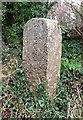 Old Guide Stone south of Hennock