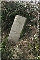 Old Guide Stone by the B3362, Gulworthy parish