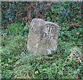 Old Milestone by the former B3207, Mary Cross, Modbury