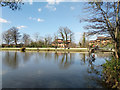 Lake and dam, Broadfield Park