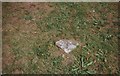 Old Milestone by the A217, Brighton Road, Banstead