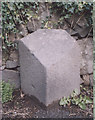 Old Milestone by the A907, near the Wallace Monument